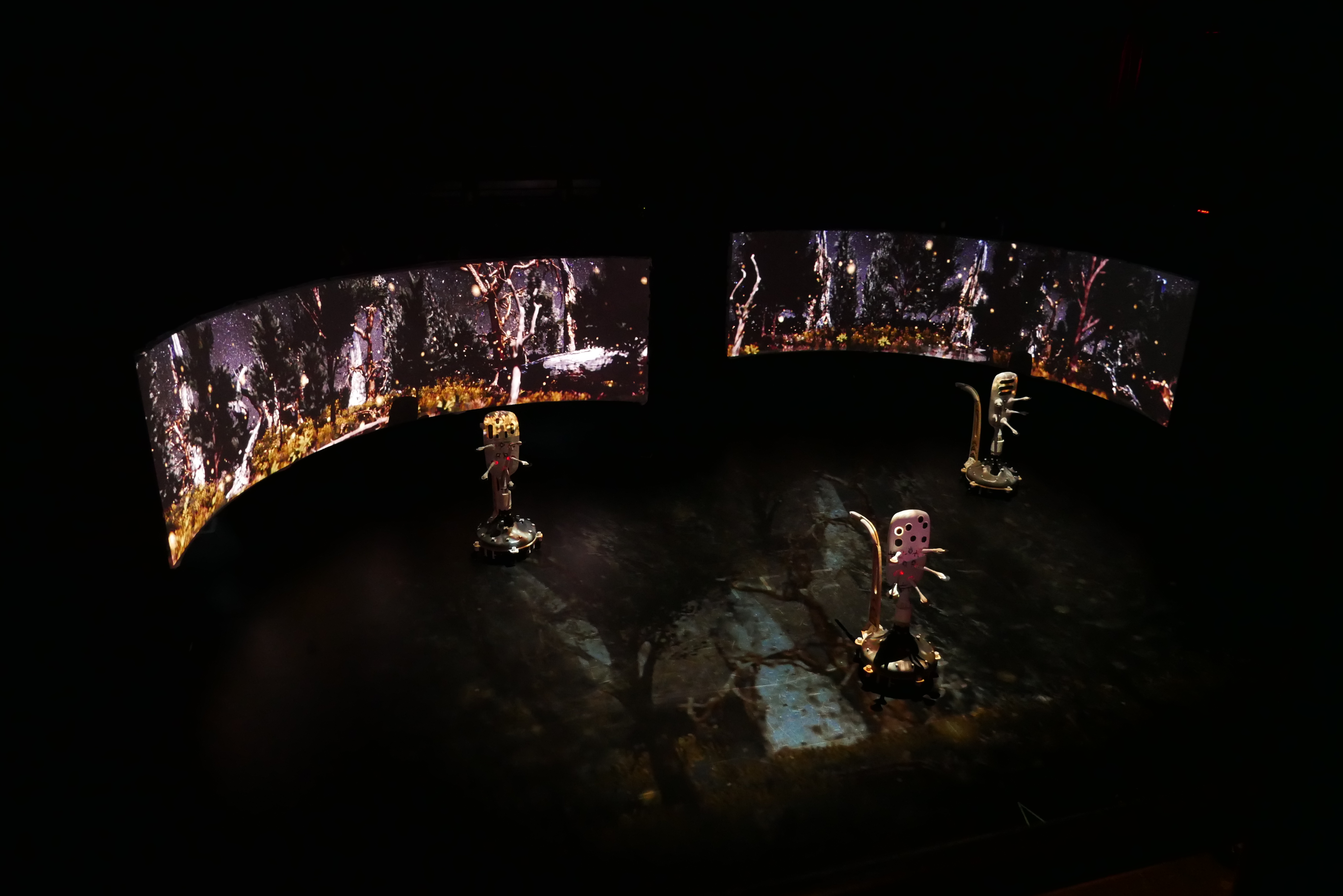 Video thumbnail for Drosera Obscura - Behind the Scenes